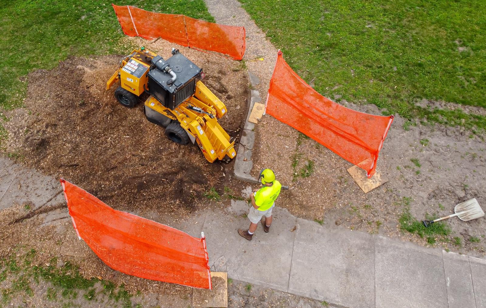 Yard Cleanup in Green Bay