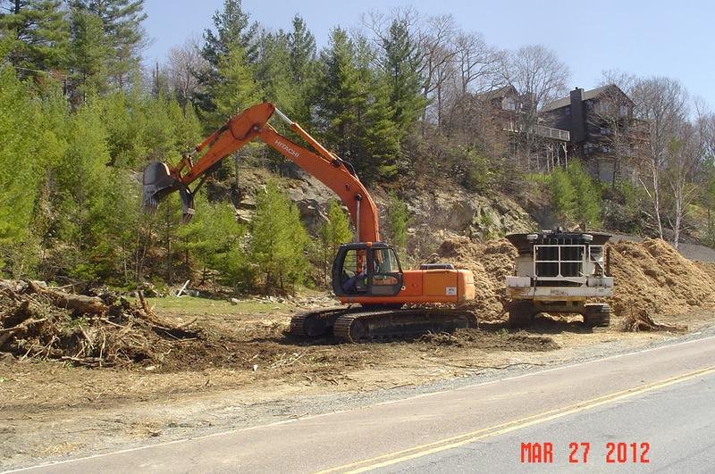 Multiple Stump Discounts in Green Bay
